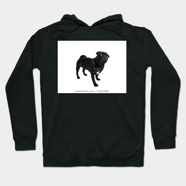 Doggy Hoodie by bahamut